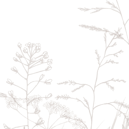 Papier peint panoramique Dans les champs - Collection Lulu au crayon - Acte-Deco