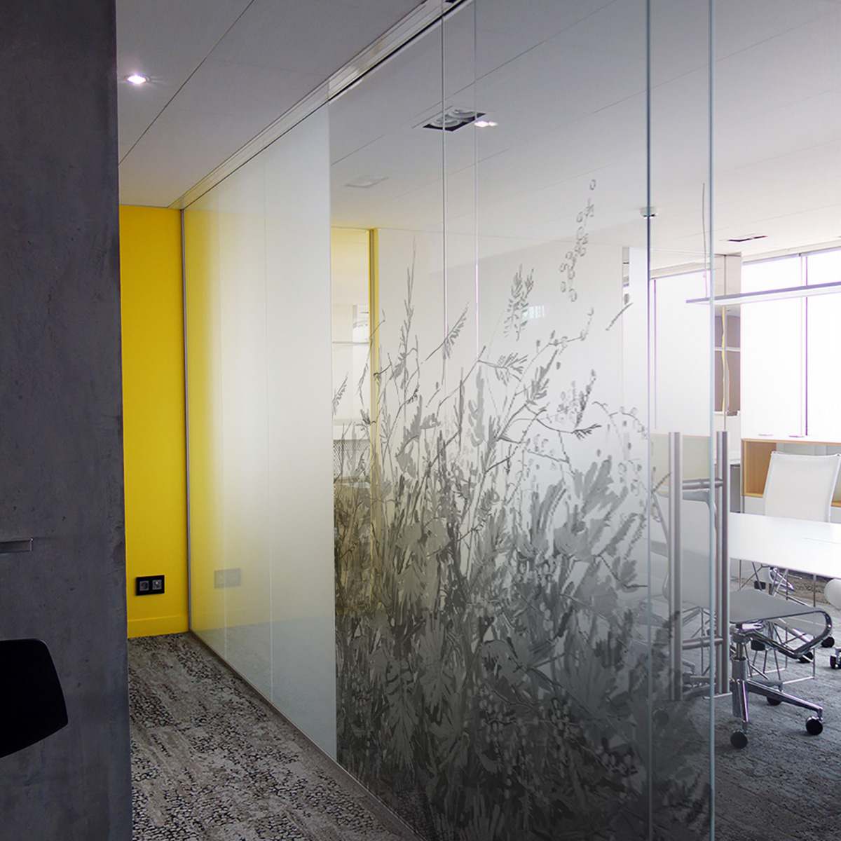 Decorative window film A travers les branches - Decorative window film