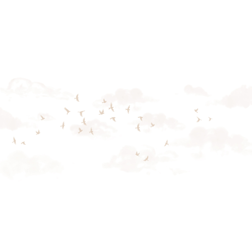 Murmuration panoramic wallpaper
