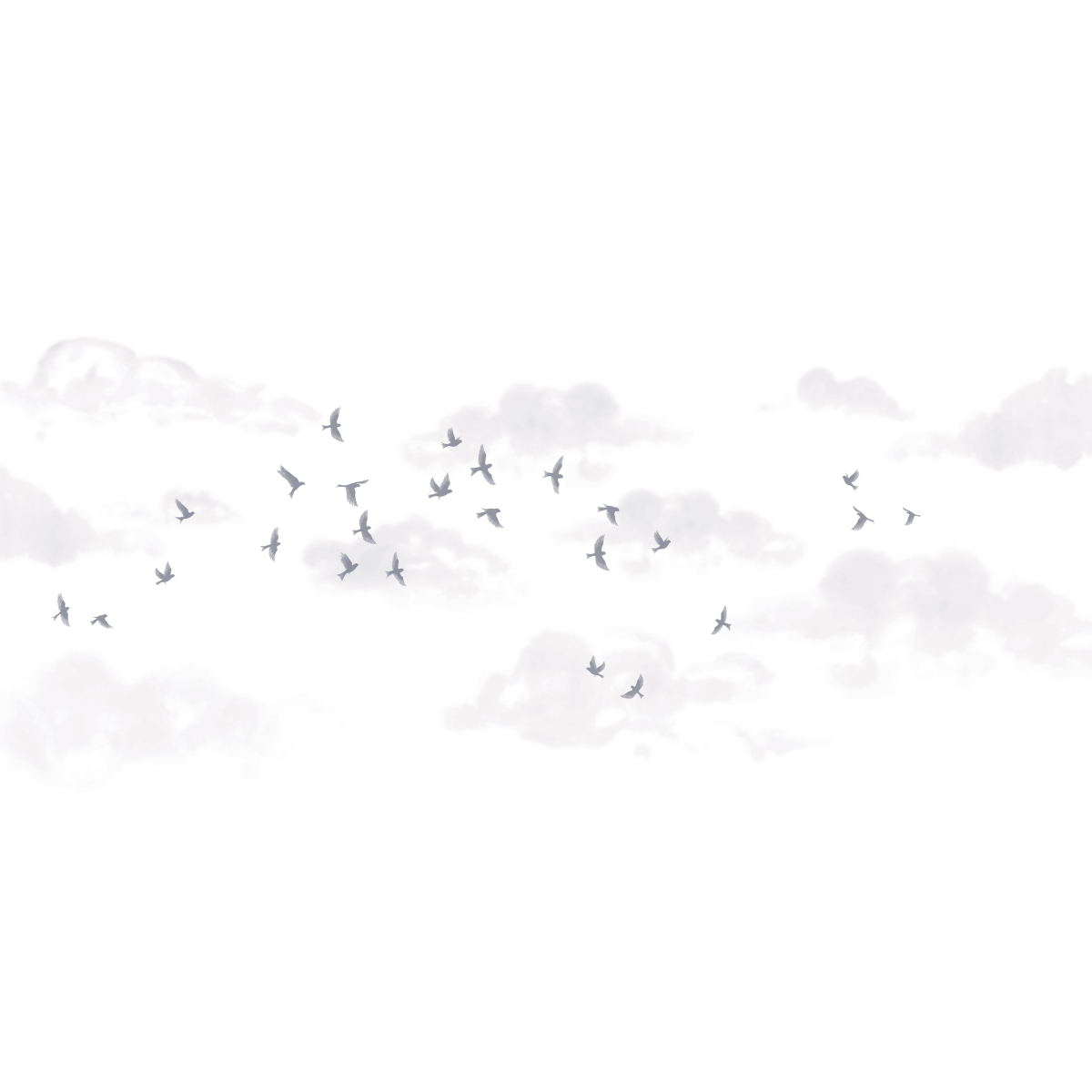 Panorama-Tapete murmuration - Kollektion Luluaucrayon - Acte-Deco