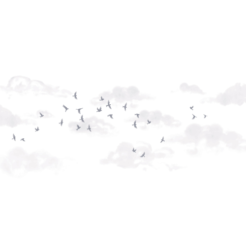 Panorama-Tapete murmuration - Kollektion Luluaucrayon - Acte-Deco