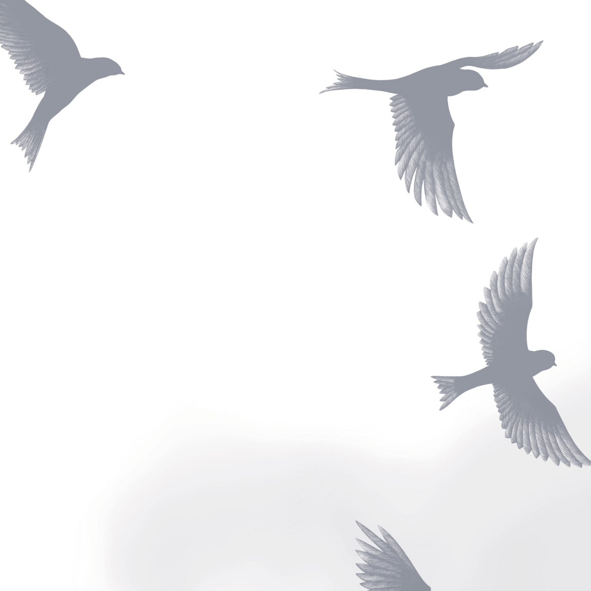 Papier peint panoramique murmuration - Collection Luluaucrayon - Acte-Deco