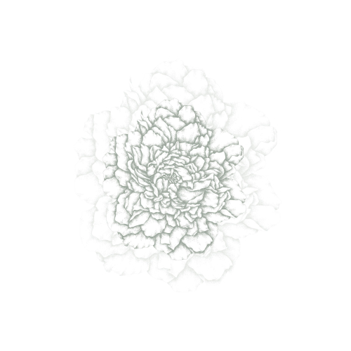 Papier peint panoramique Cœur de pivoines - Collection Luluaucrayon - Acte-Deco