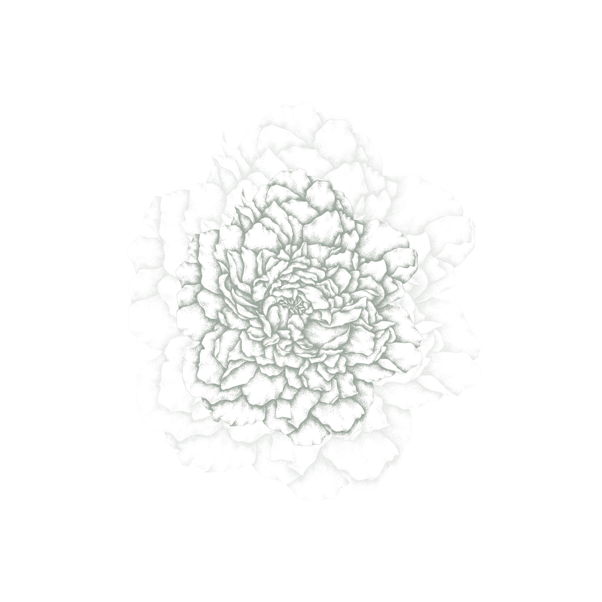 Papel pintado panorámico Pétalos ilustres - Colección Luluaucrayon Acte-Deco