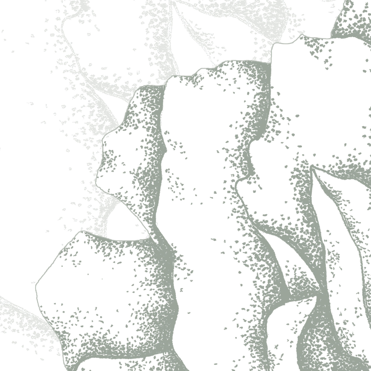 Panorama-Tapete Illustres pétales - Collection Luluaucrayon - Acte-Deco