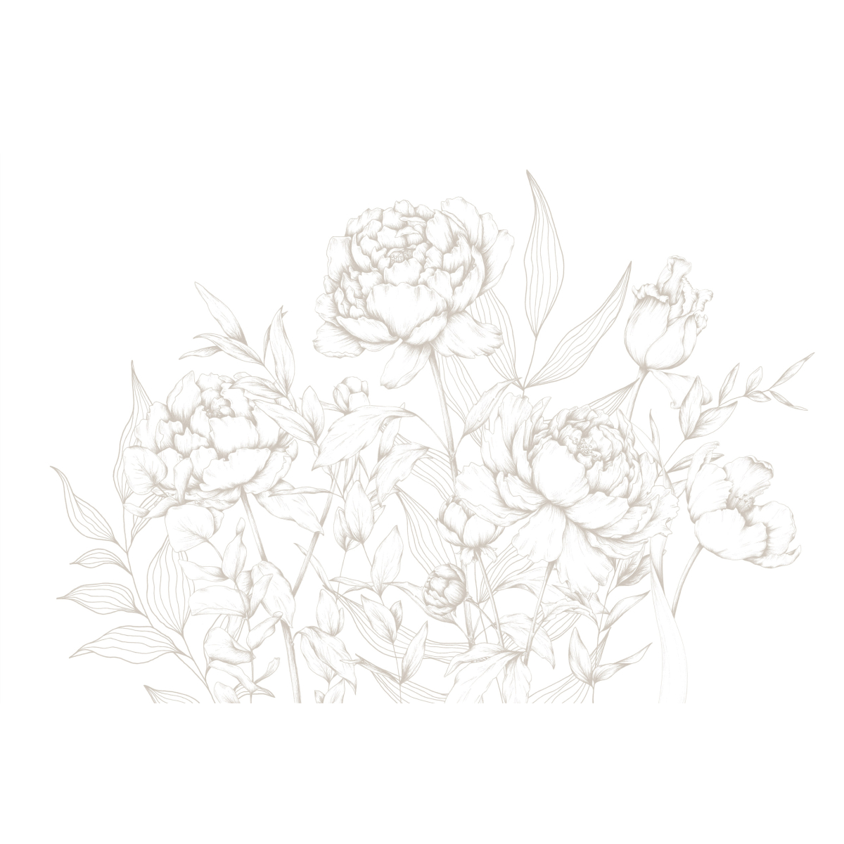 Papier peint panoramique Caresse de pivoines - Collection Luluaucrayon - Acte-Deco