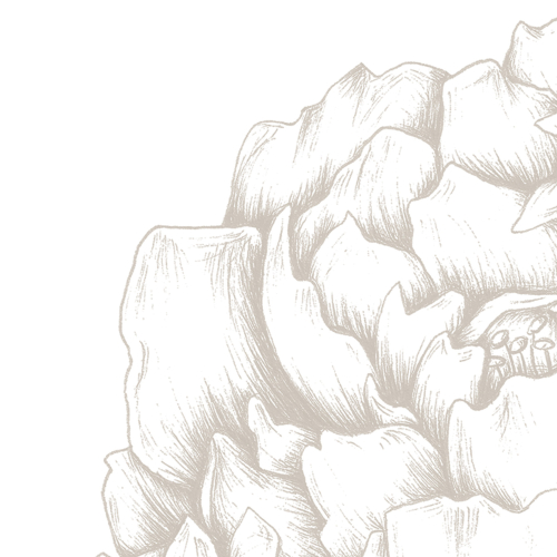 Carta da parati panoramica Cuori di peonia - Collezione Luluaucrayon Acte-Deco