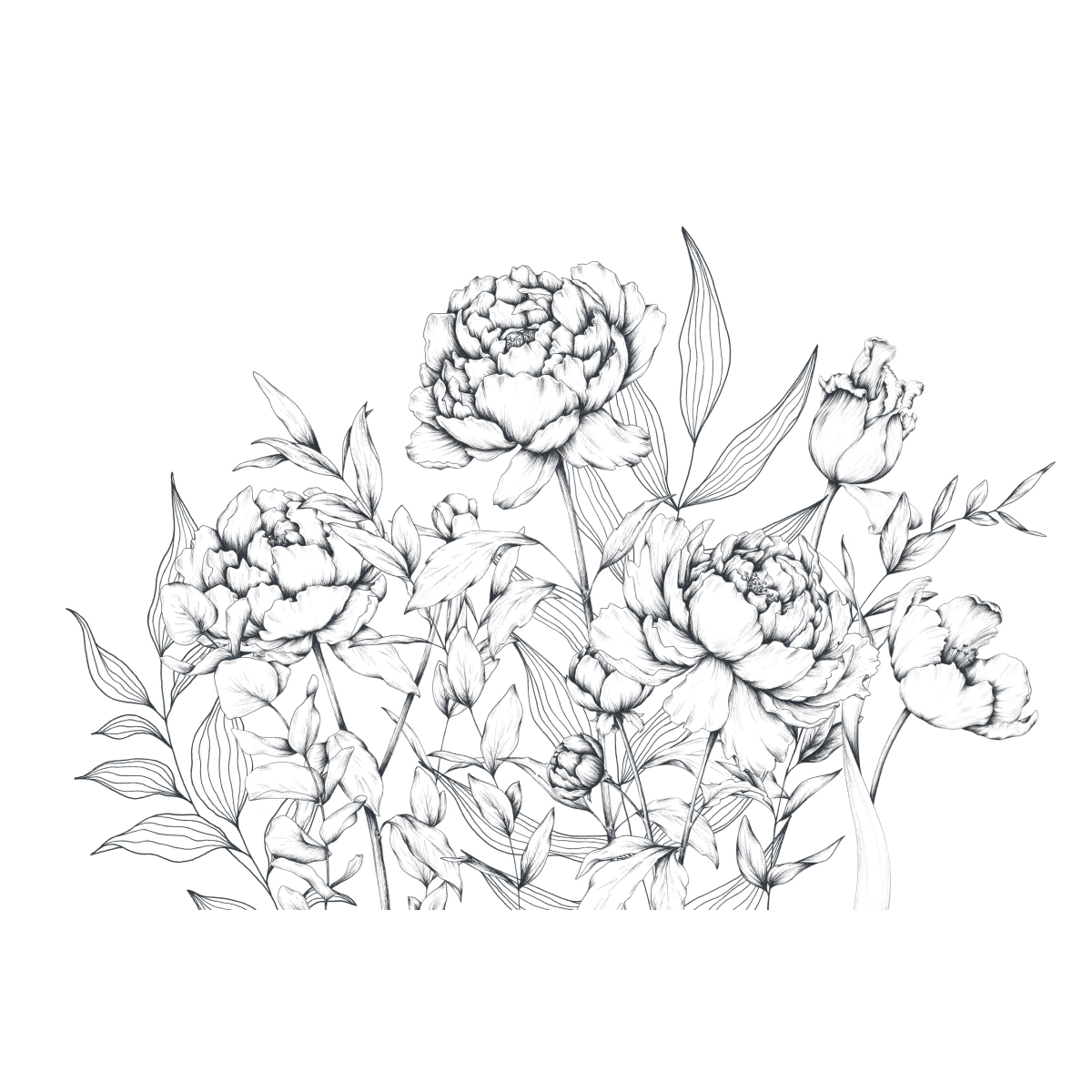 Papier peint panoramique Caresse de pivoines - Collection Luluaucrayon - Acte-Deco