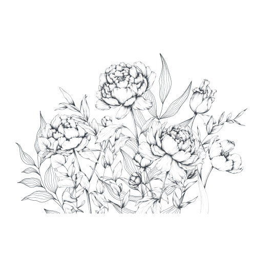 Papier peint panoramique Caresse de pivoines - Collection Luluaucrayon - Acte-Deco