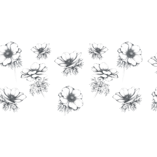 Panoramic wallpaper Anemones - Luluaucrayon collection - Acte-Deco