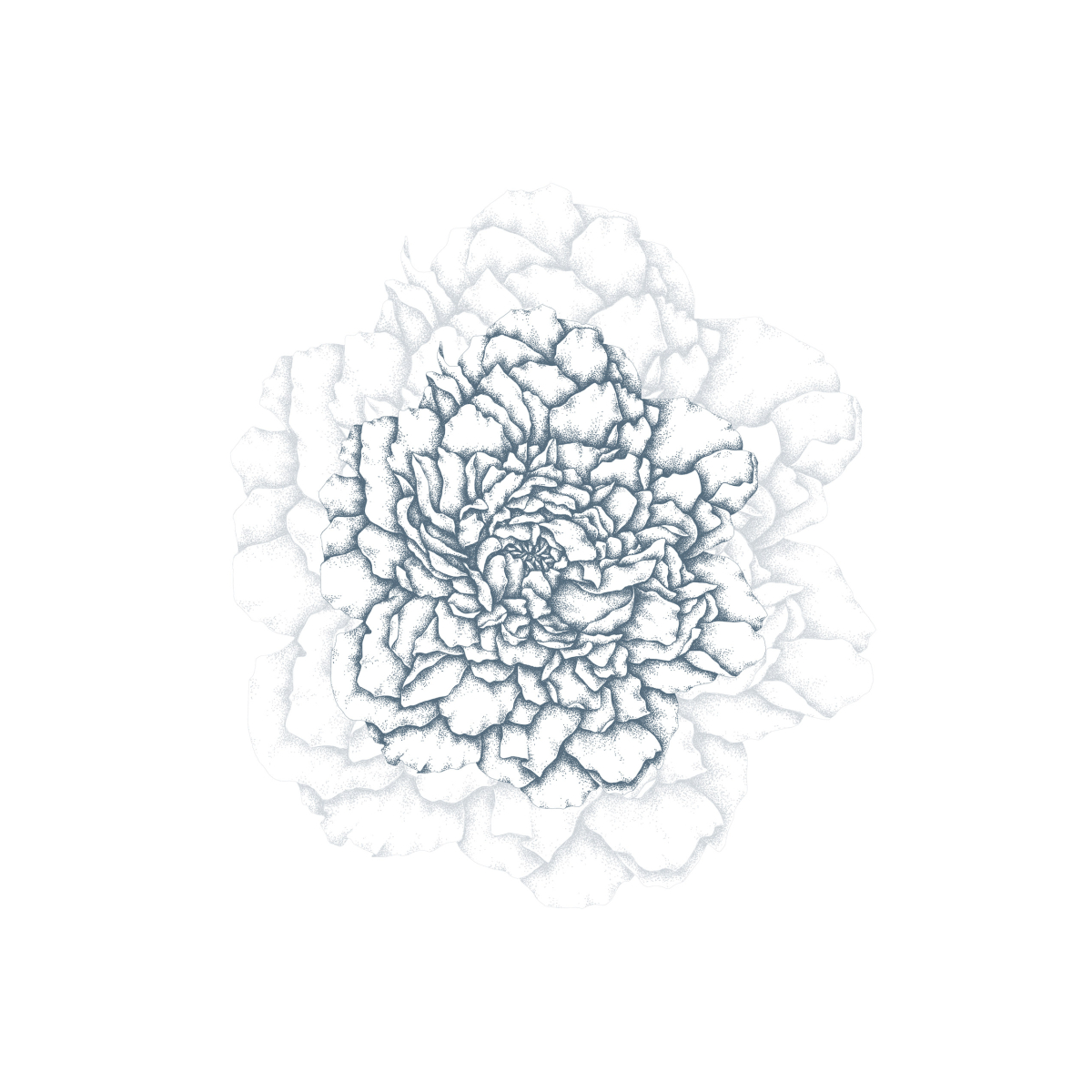 Papel pintado panorámico Pétalos ilustres - Colección Luluaucrayon Acte-Deco