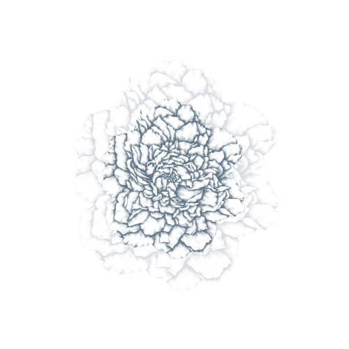 Papel pintado panorámico Pétalos ilustres - Colección Luluaucrayon Acte-Deco