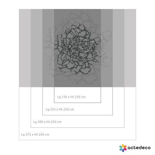Carta da parati panoramica Illustri petali - collezione Luluaucrayon Acte-Deco