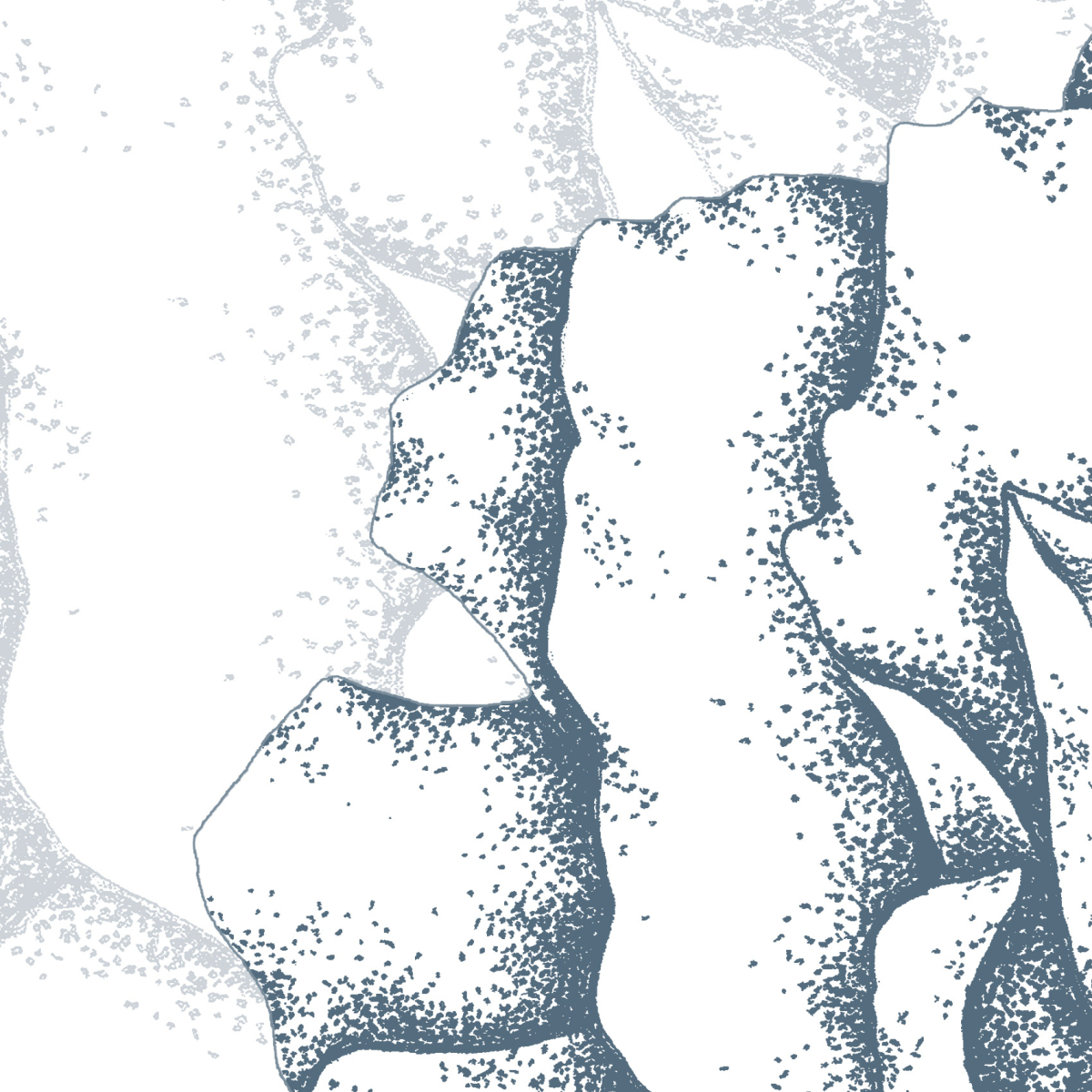 Carta da parati panoramica Illustri petali - collezione Luluaucrayon Acte-Deco