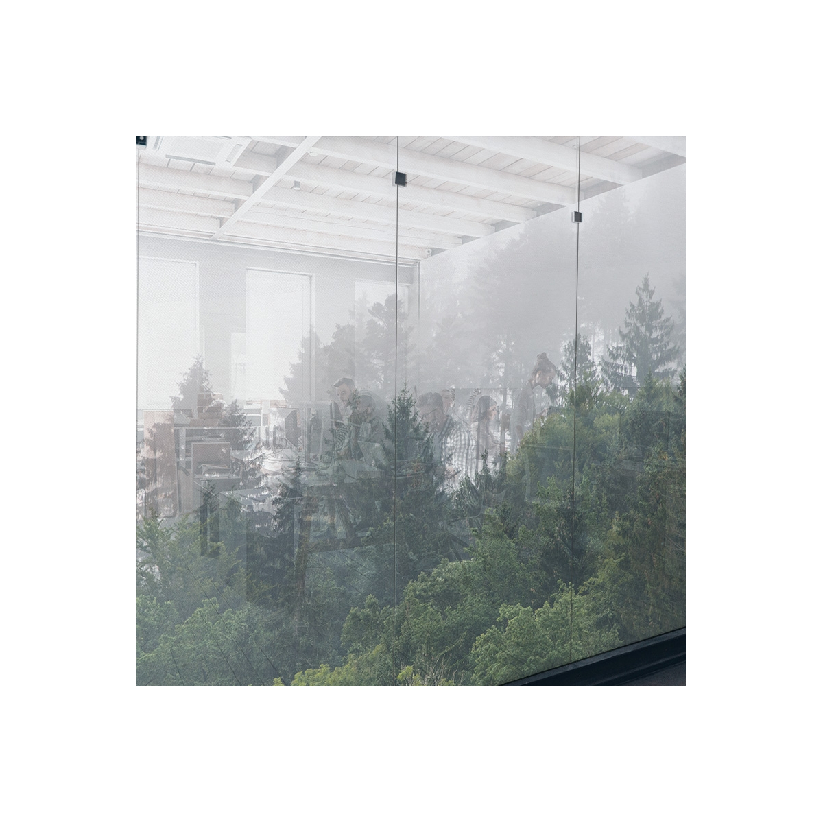 Tissus adhésifs pour vitres Squid Forest mist Tissus adhésifs pour vitres Squid Forest mist