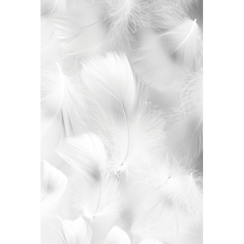 Panoramic feather wallpaper - 1 - Acte-Deco