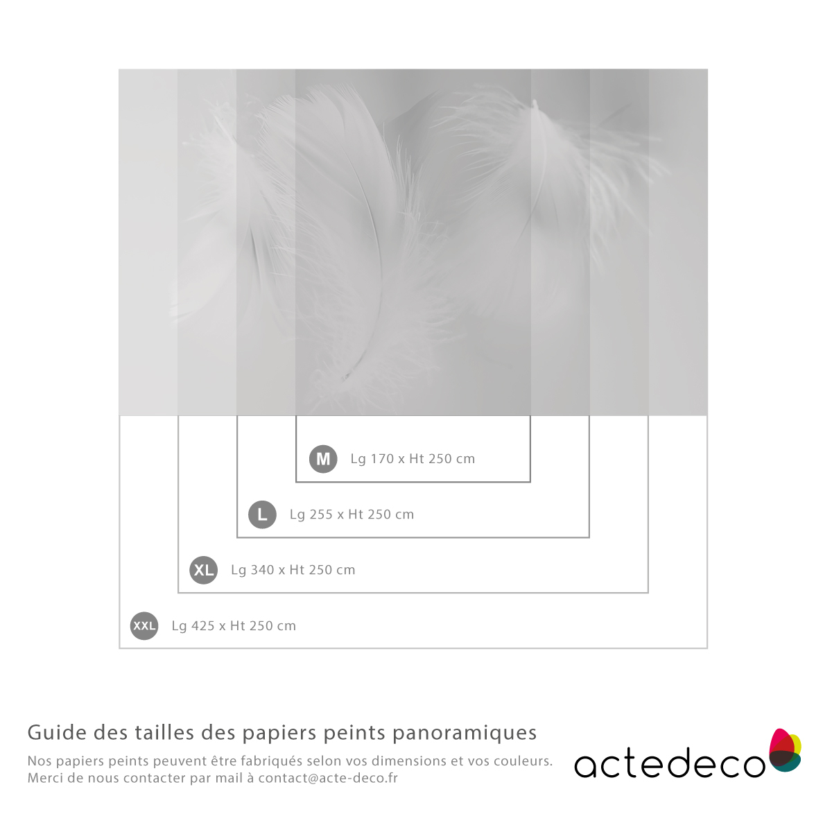Panorama-Tapete - Federn 2 - Kollektion Acte-Deco