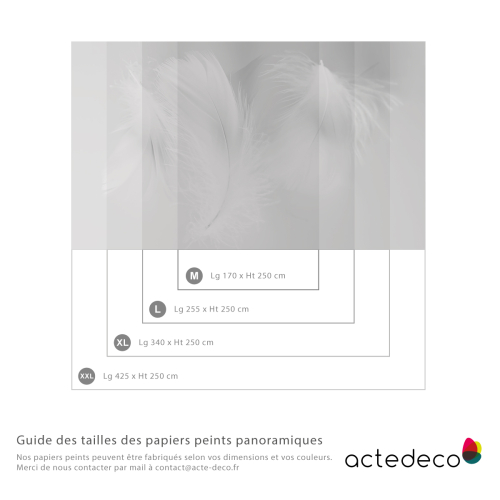 Papier peint panoramique - Plumes 2 - Collection Acte-Deco