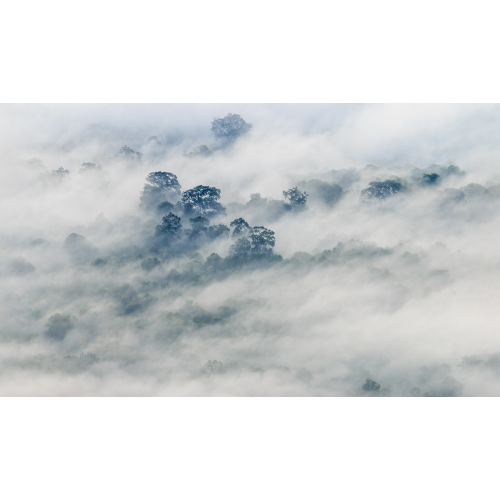 Panoramic wallpaper Morning mists 01 | Acte-Deco